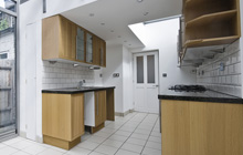 Poundgreen kitchen extension leads